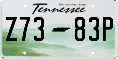 TN license plate Z7383P