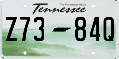 TN license plate Z7384Q