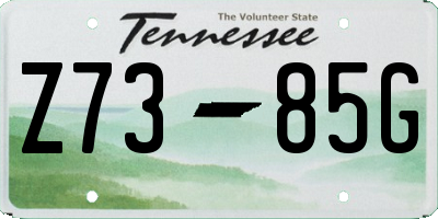 TN license plate Z7385G