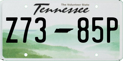 TN license plate Z7385P