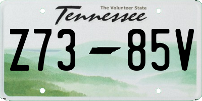 TN license plate Z7385V