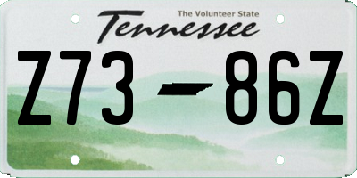 TN license plate Z7386Z