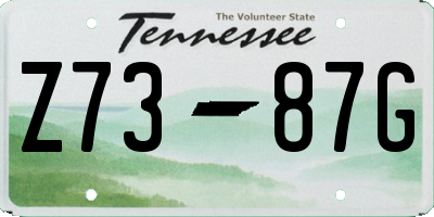 TN license plate Z7387G
