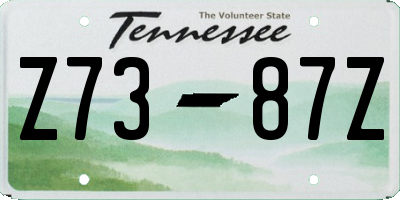 TN license plate Z7387Z