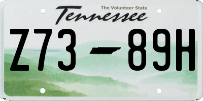 TN license plate Z7389H