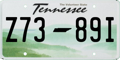 TN license plate Z7389I