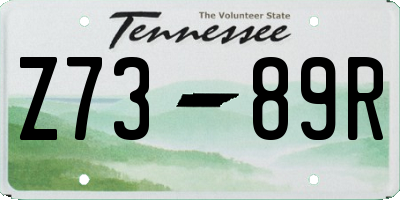 TN license plate Z7389R