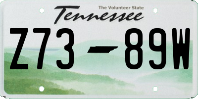 TN license plate Z7389W