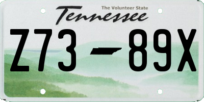 TN license plate Z7389X