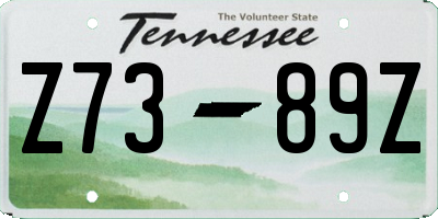 TN license plate Z7389Z