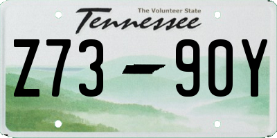 TN license plate Z7390Y