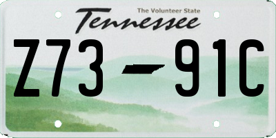 TN license plate Z7391C