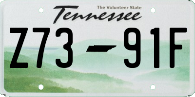 TN license plate Z7391F