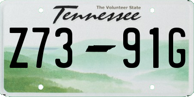 TN license plate Z7391G