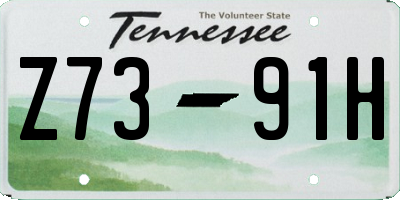 TN license plate Z7391H