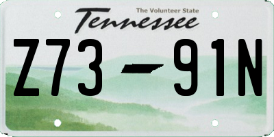 TN license plate Z7391N