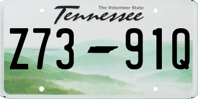 TN license plate Z7391Q