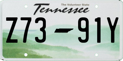TN license plate Z7391Y
