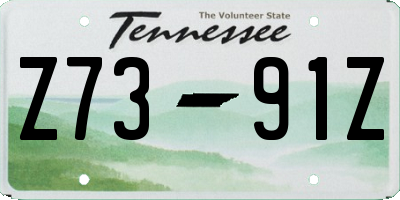 TN license plate Z7391Z