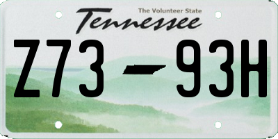 TN license plate Z7393H