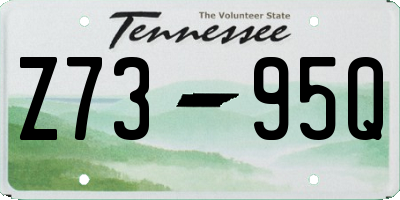 TN license plate Z7395Q