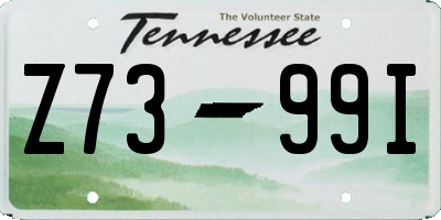 TN license plate Z7399I