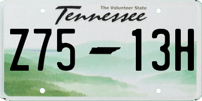 TN license plate Z7513H