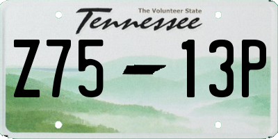 TN license plate Z7513P