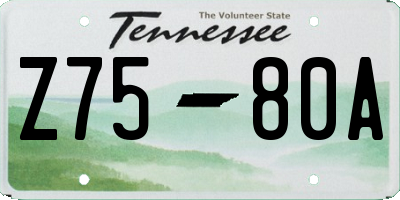 TN license plate Z7580A