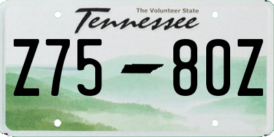 TN license plate Z7580Z