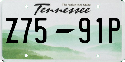 TN license plate Z7591P