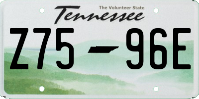 TN license plate Z7596E