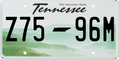 TN license plate Z7596M