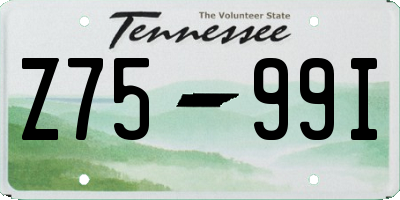 TN license plate Z7599I