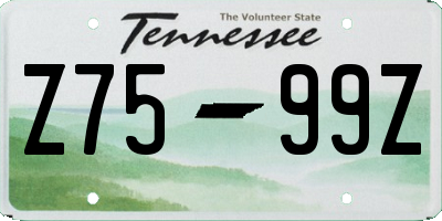 TN license plate Z7599Z
