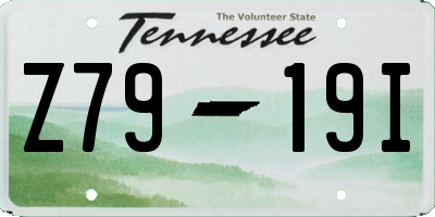 TN license plate Z7919I