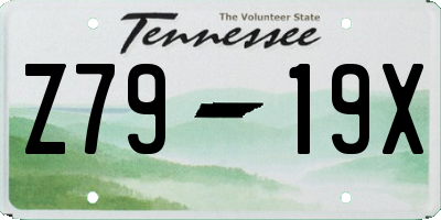 TN license plate Z7919X