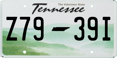 TN license plate Z7939I
