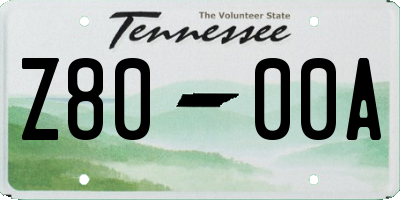 TN license plate Z8000A