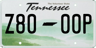 TN license plate Z8000P