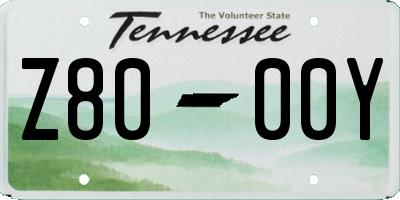 TN license plate Z8000Y