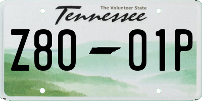 TN license plate Z8001P
