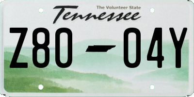 TN license plate Z8004Y
