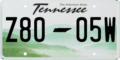 TN license plate Z8005W