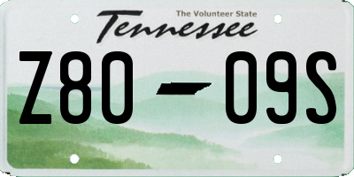 TN license plate Z8009S
