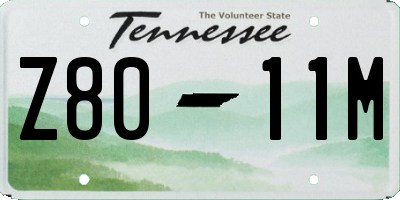TN license plate Z8011M