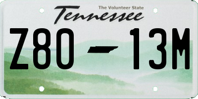 TN license plate Z8013M