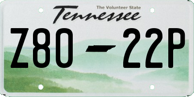 TN license plate Z8022P
