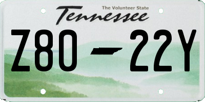 TN license plate Z8022Y