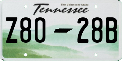 TN license plate Z8028B